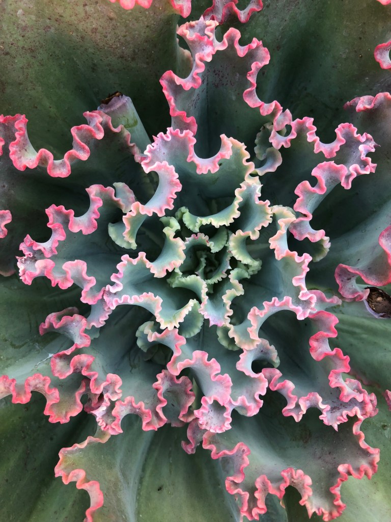 Do You Want to&nbsp;Live?