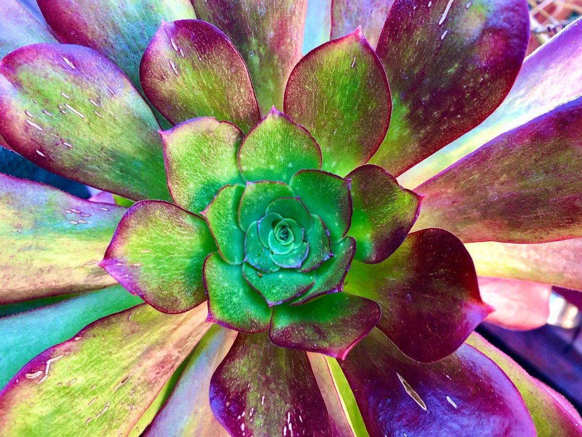 The Happiest Moments In&nbsp;Life