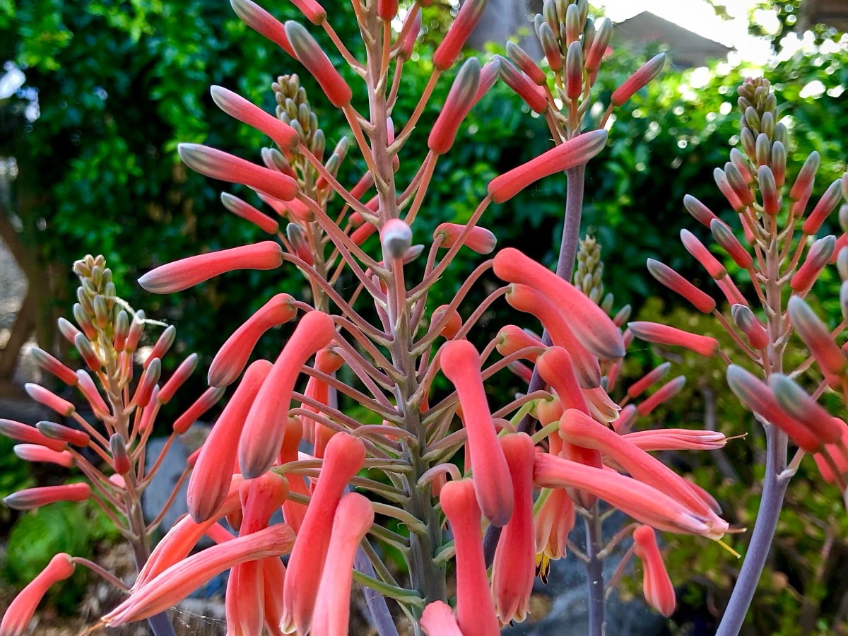 A Person’s Best&nbsp;Wealth