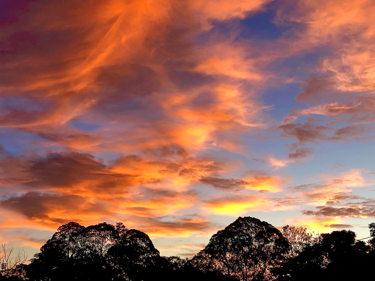 Gratitude And Cancer?