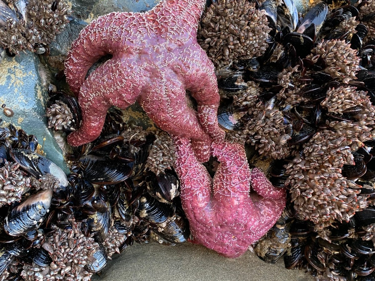 A Reason For&nbsp;Hope